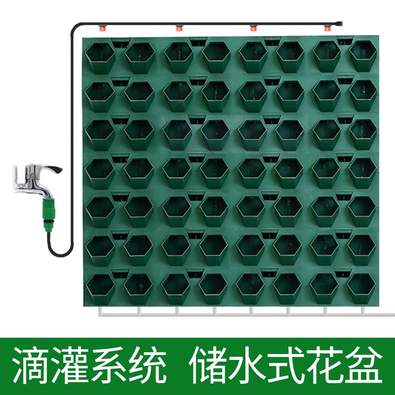 绿植墙真绿植阳台挂式花架壁挂式庭院立体垂直绿化种植植物墙花盆