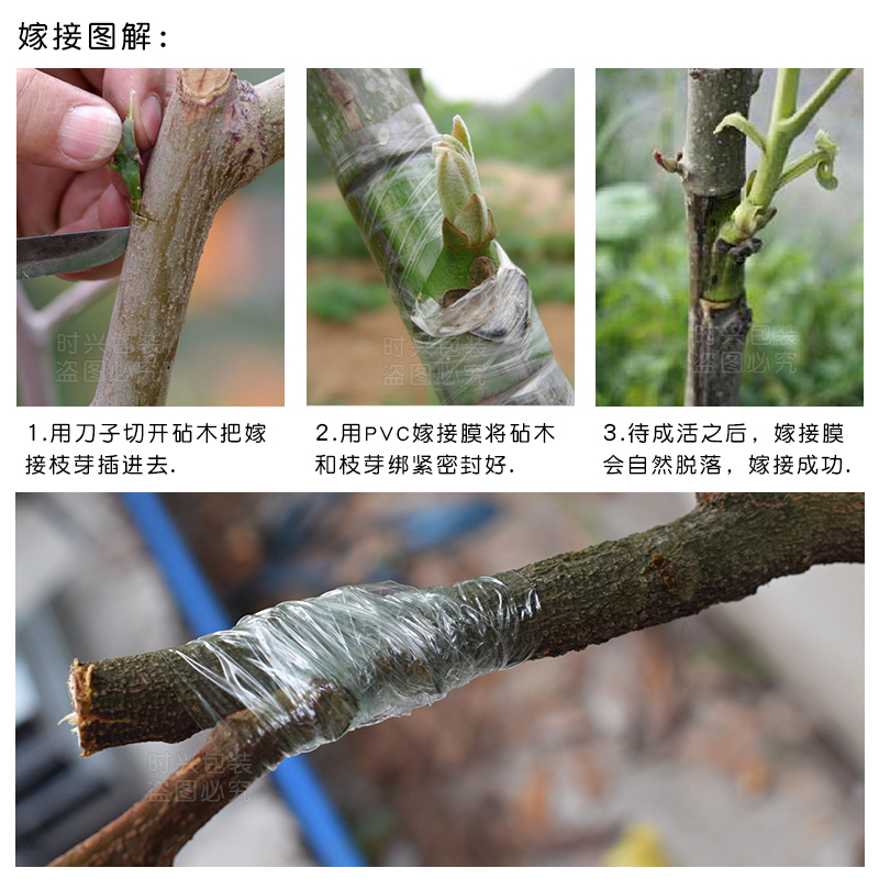 果树嫁接膜cm 树苗包扎带无需打结自粘性缠绕薄膜 pc膜