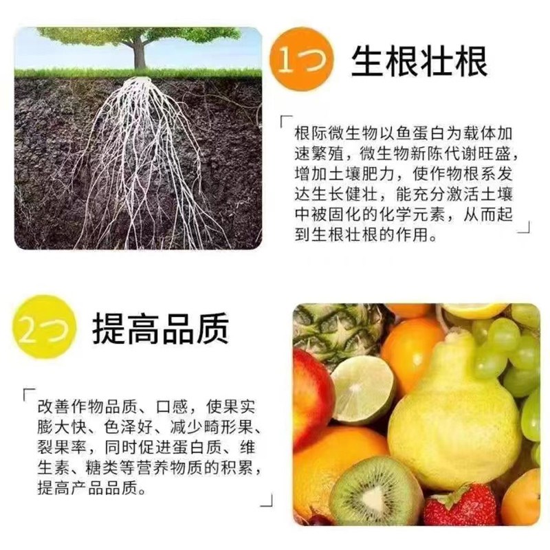海藻精全水溶生物酶解生根壮苗促花保果平衡营养