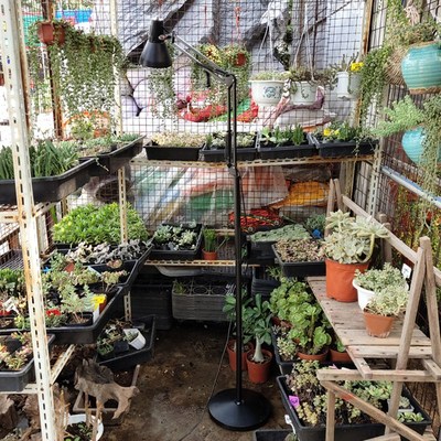 植物补光灯架万向折叠带开关e27螺口灯座灯头室内通用型落地支架