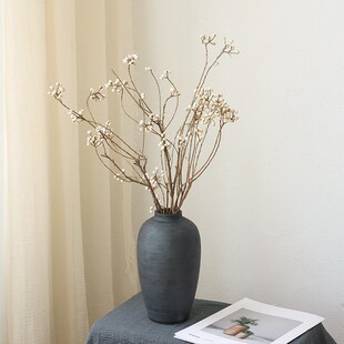 乌桕果小白果干花花束树枝树干A民宿干枝干果装饰插花侘寂风干真