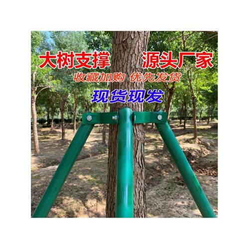 树木支撑架钢管固定器绿色大树支撑杆乔木防风抱箍园林金属树支撑