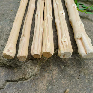 武当万寿藤天然藤条教鞭教师女家用家训讲解指挥棒教师教学棍