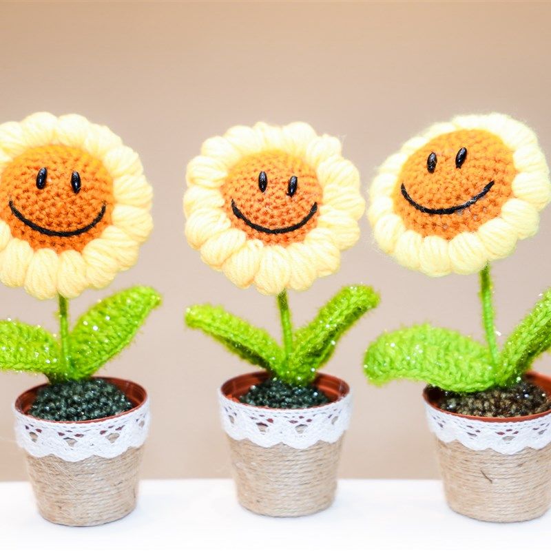 向阳而生罕见病友纯手工钩织品向日葵义卖工艺太阳花盆栽