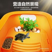 乌龟缸带晒台饲养箱巴西龟造景别墅客厅生态缸小乌龟龟箱