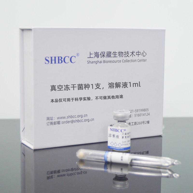 木醋杆菌冻干粉产纤维素膜醋酸液体培养基度静置培养