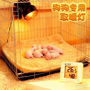 刚出生的小狗幼犬冬天专用狗狗取暖灯宠物保温灯恒温小太阳加热灯