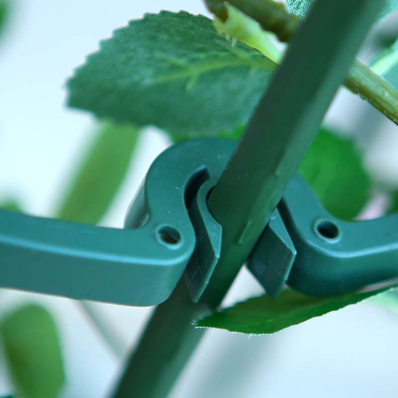 园艺火龙果藤本月季绿萝爬藤架包塑钢管花支架支柱玫瑰盆栽花架