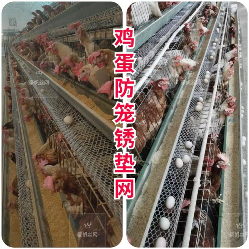 养鸡场专用鸡笼垫网鸡蛋防锈B网接鸡蛋网防锈印网鸡蛋托网