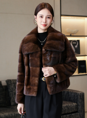 水貂皮大衣女短款2025冬季新款天鹅绒整貂裘皮横排海宁皮草外套潮