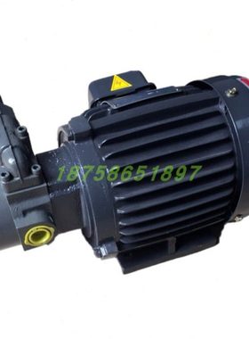 RBB-210Y/216Y/212Y/220Y摆线油泵电机RBB-206/208Y2 0.75/1.5KW