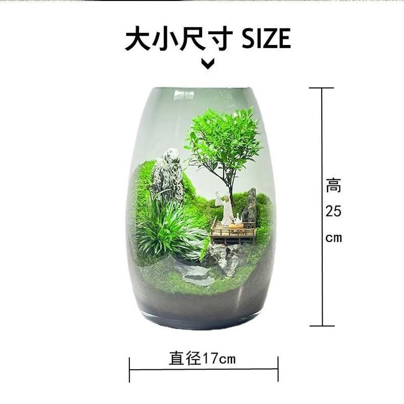 (云海间)微景观创意假山造景植物F家居室内客厅办公室桌面摆件。