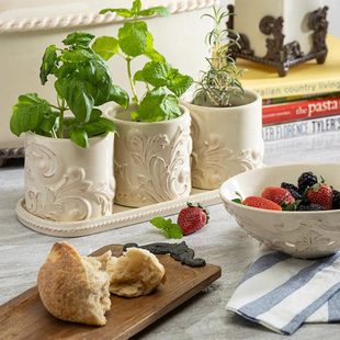 阿坎瑟斯叶浮雕陶瓷香草桌面三件套花盆带底托