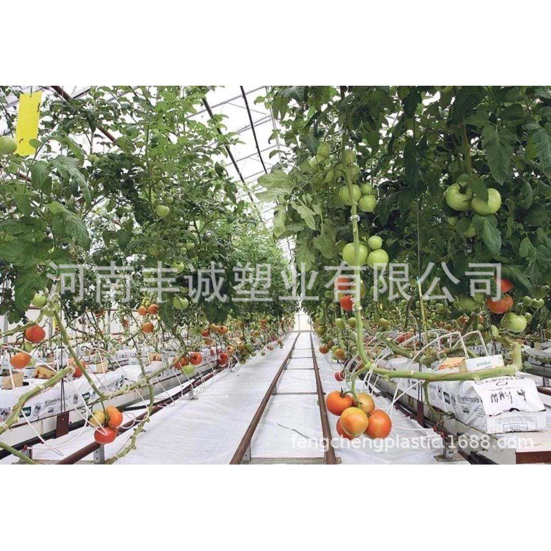 出售现货农业大棚室内无土栽培番茄草莓蔬菜等用反光地布除草