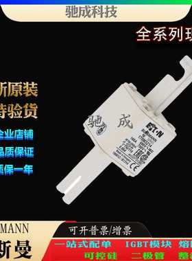 巴斯曼170M3214 170M3215 170M3216 销售供应零售  全新熔断器