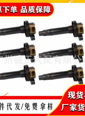 跨境UF646 DG548/DG549 BL3Z12029A BL3Z12029B点火线圈适用福特