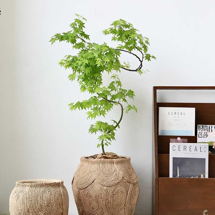 仿编织水泥大花盆草编藤编日式实木落地陶瓷复古侘寂风轻奢感