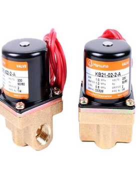 德国 水泵  PUMPEN高温泵NPY-2051.0639 Y-2051.0130