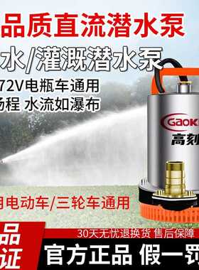 直流潜水泵48V60V72V电瓶车通用水泵小型灌溉家用农用船用抽水泵