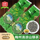 广东梅州客家特产2025头春茶梅县清凉山绿茶西阳高山云雾茶叶500g