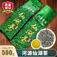河源仙湖茶2026新茶清明春茶紫金绿茶上莞茶绿茶高山茶浓香型500g