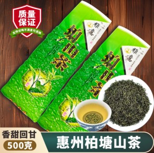 柏塘山茶惠州博罗特级春茶农家客家炒青绿茶特产罗浮茶叶浓香耐泡