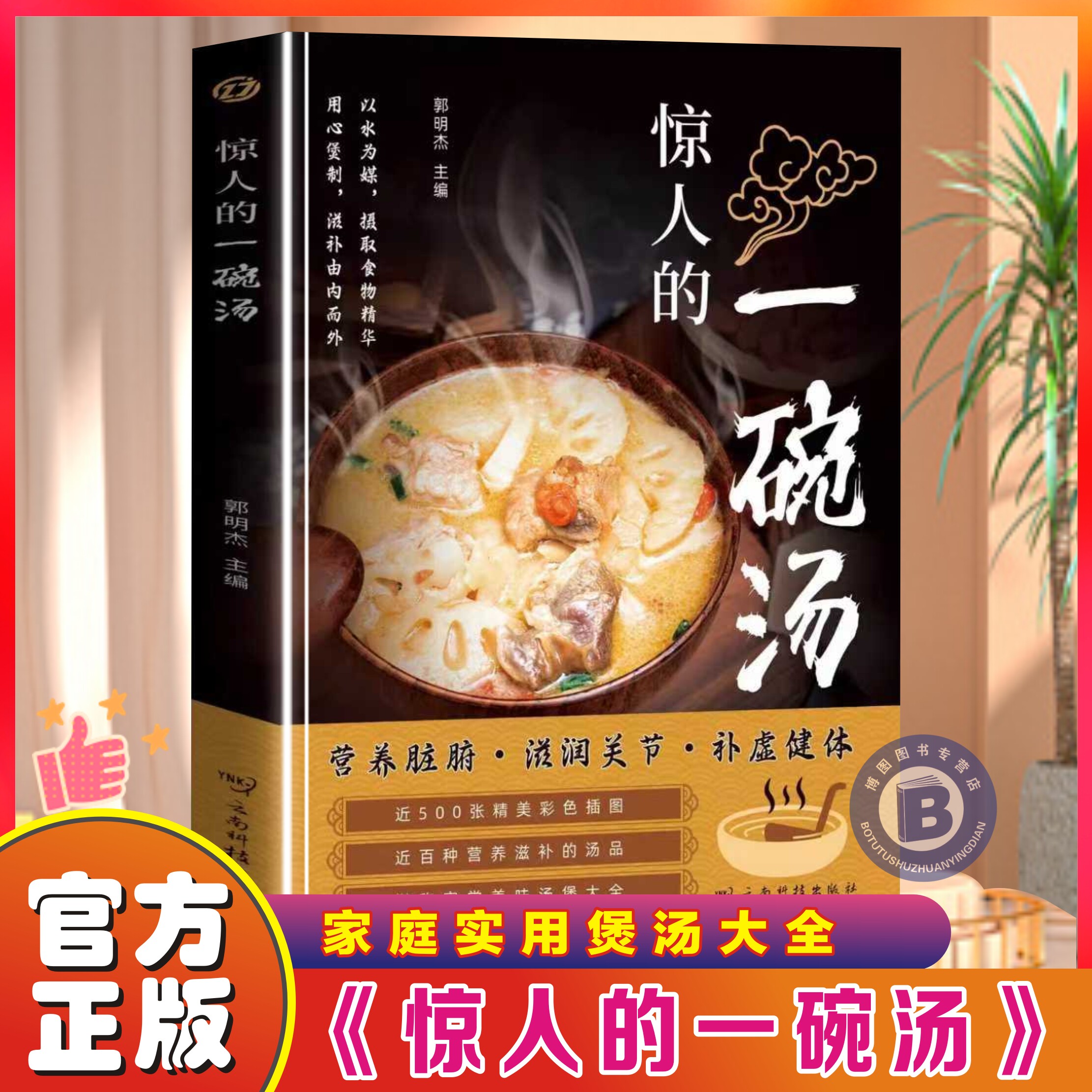 惊人的一碗汤滋补养生正版书籍用心煲制由内而外养生祛病一碗汤中国现代养生需备汤谱滋补调养体质汤水熬制食谱大全百病食疗药膳书