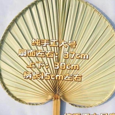 蒲扇新款扇子夏天耐用芭蕉叶蒲葵扇凉快风大手编蒲扇大尺寸结实日