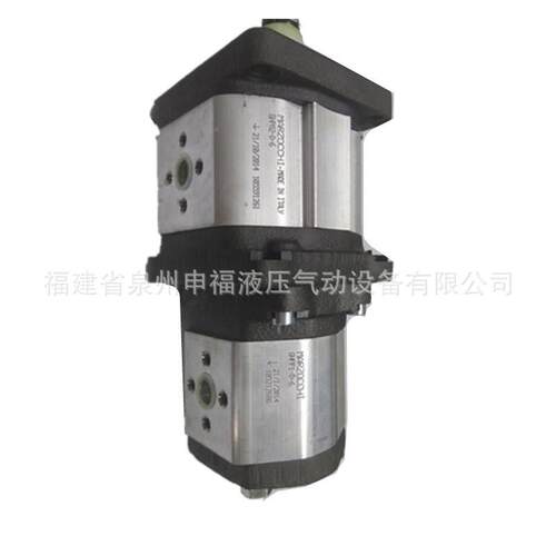 意大利MRZOC马CHI祖奇HPAXKY2A-D-13-FG+GHPP2-D-16-FG双联A齿轮G