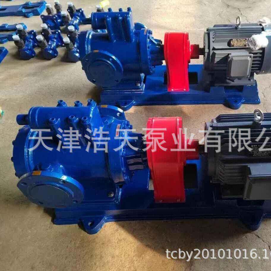 空侧密封油泵3G柴油 滑机油 润油 沥青 胶水 聚氨酯 浩友THY稠油