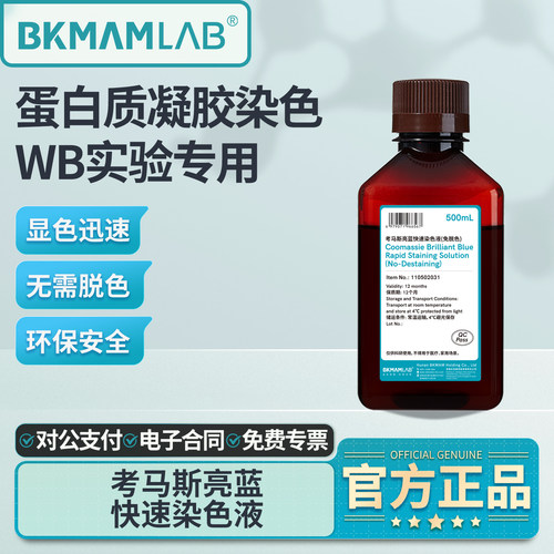 比克曼生物考马斯亮蓝快速染色液