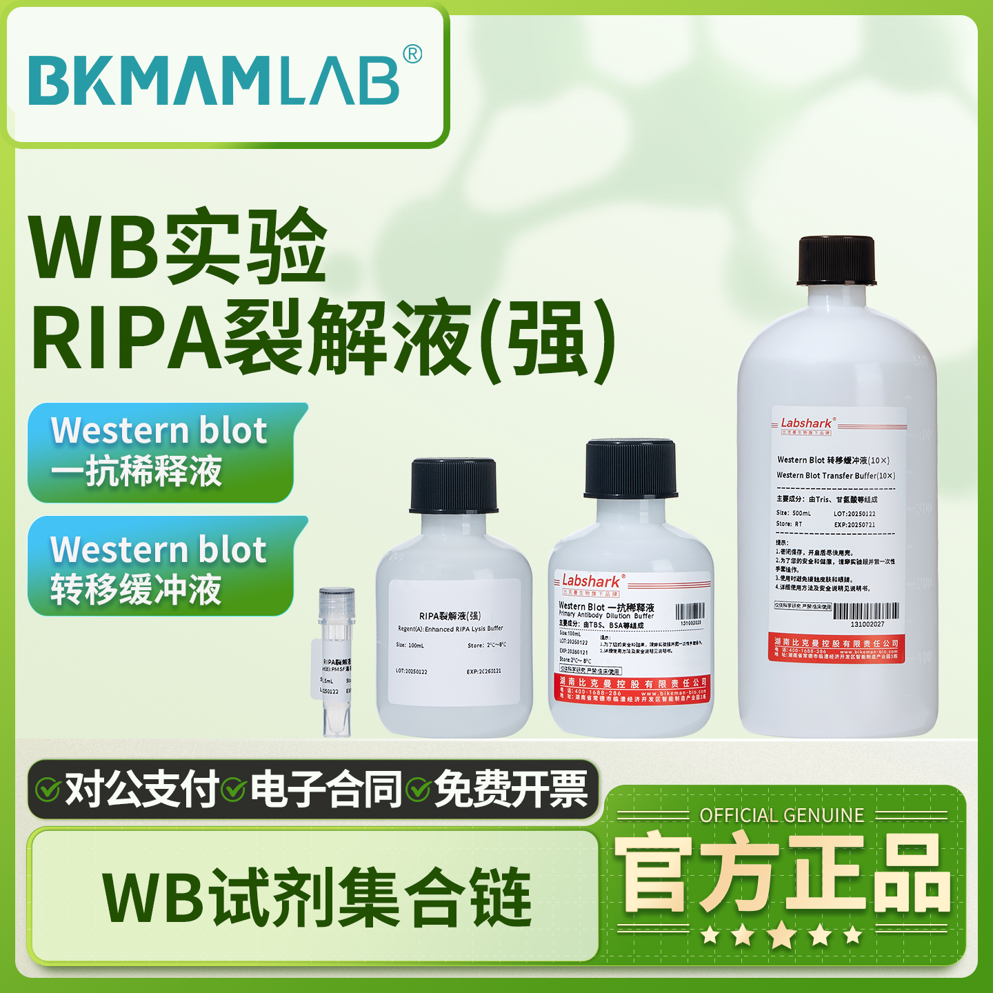 WB试剂RIPA裂解液(强)转移缓冲液源叶索莱宝封闭凝胶电泳蛋白实验