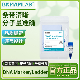 比克曼生物DNA Ladder核酸电泳实验DNA分子量标准化学试剂 Marker