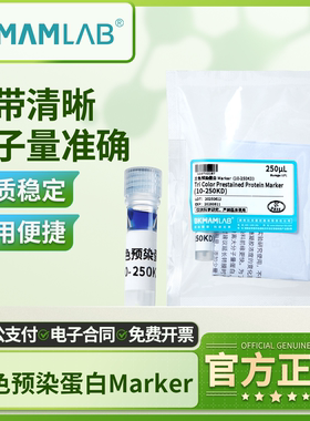 比克曼生物三色预染蛋白Marker蛋白质电泳实验室蛋白分子量标准
