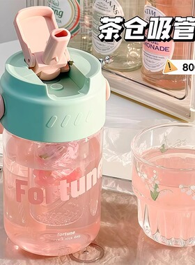 新款大容量便携茶隔水杯女生高颜值随手杯大肚吸管杯耐高温杯子