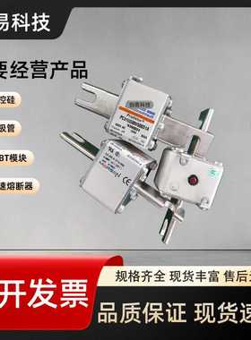 PC31UD69V700D1A R300027 PC31UD69V800D1A H300709 熔断器现货