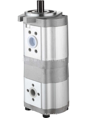 东方红 双联泵 转向助力泵 农机泵 齿轮泵 2CBTF-F425F410X