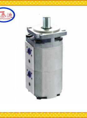 CBKP40/32-BFHR双联齿轮油泵 液压泵 CBKP高压齿轮泵