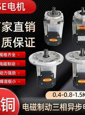 YSE电磁制动三相软启动电机0.4KW0.8KW1.5KW