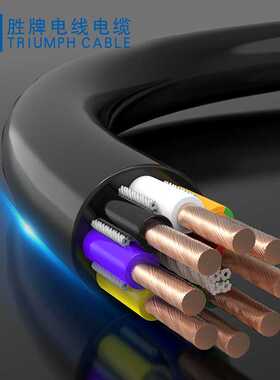 胜牌TRVV10*0.75平方柔性800万次JS系列耐弯折拖链电源线