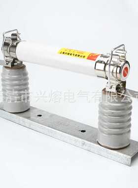 XRNC-12/50A保护电容高压限流熔断器户内10kv一次性保险管