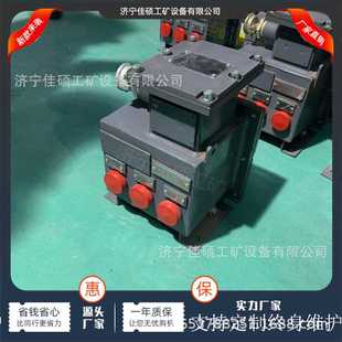 660L矿用隔爆型漏电保护检测用电阻箱 1140 矿用隔爆型电阻箱 DZB