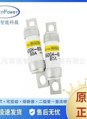 1000FH-90S 1000FH-100S Hinode/日之出快速熔断器/保险丝原装