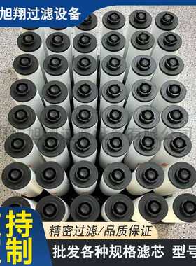 0532140159真空泵滤芯 RA0302油雾分离器 R5RA0165D/0205排气过滤