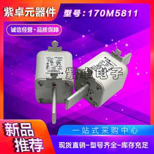 巴斯曼熔断器170M系列170M5887 170M5888 170M5889现货供应