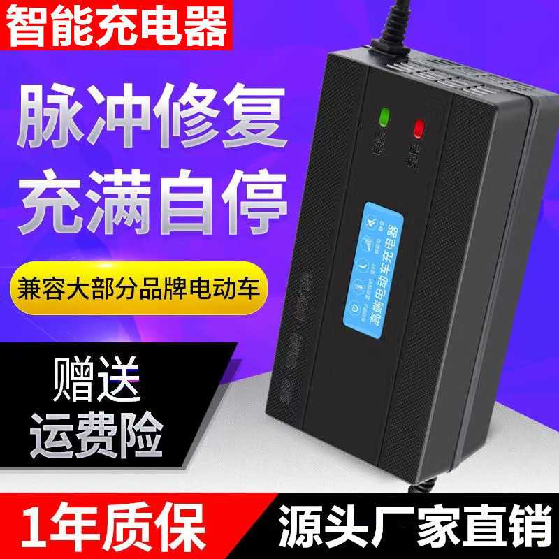 电动车电瓶充电器36V12ah48v20ah60v72v64v120v96v20天能电池通用
