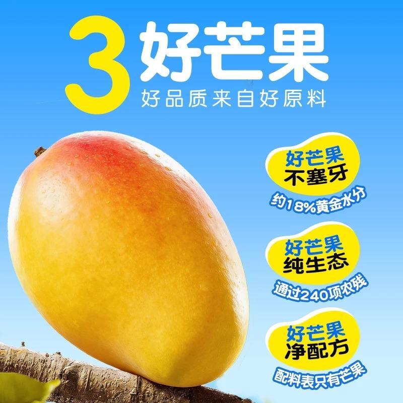 零添加100g鲜烘纯芒果干新