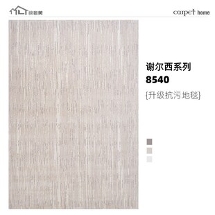 纯色卧室地毯防滑k抗污家用地毯客厅耐脏易打理加厚床边毯地垫