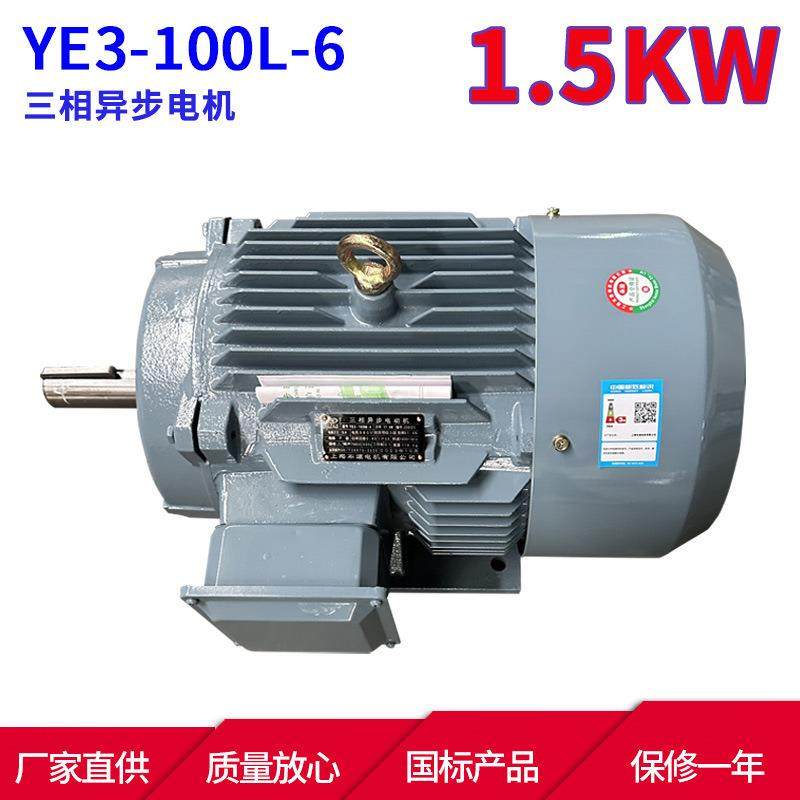 YE3系列三相异步电动机YE3-100L-61.5W6极三相异步电机马达,电子元器件市场,电机/马达,淘宝优惠券,粉丝福利购,淘宝优惠卷