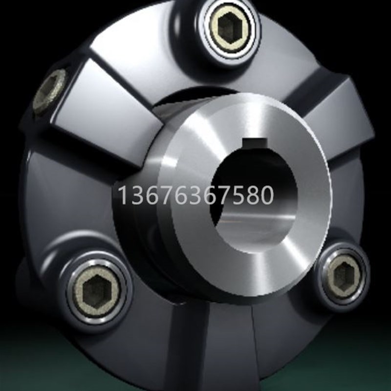 CENTA CF-A-004 008 016 022 025 028 030 050弹性橡胶联轴器